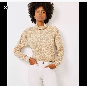 Animal Prints Sweater